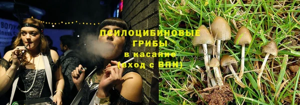 твердый Кодинск