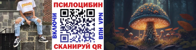 Псилоцибиновые грибы MAGIC MUSHROOMS  Купить  Бирюсинск 